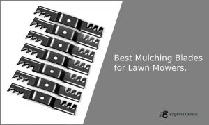 Best Mulching Blades for Lawn Mowers